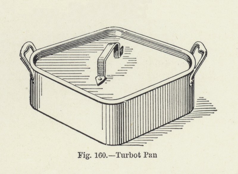 Turbot Pan (photo) بواسطة مصور انجليزى