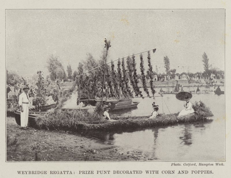 Weybridge Regatta ، جائزة بونت مزينة بالذرة والخشخاش بواسطة مصور انجليزى