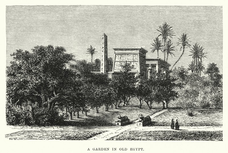 A Garden in Old Egypt (engraving) بواسطة مدرسة اللغة الإنجليزية