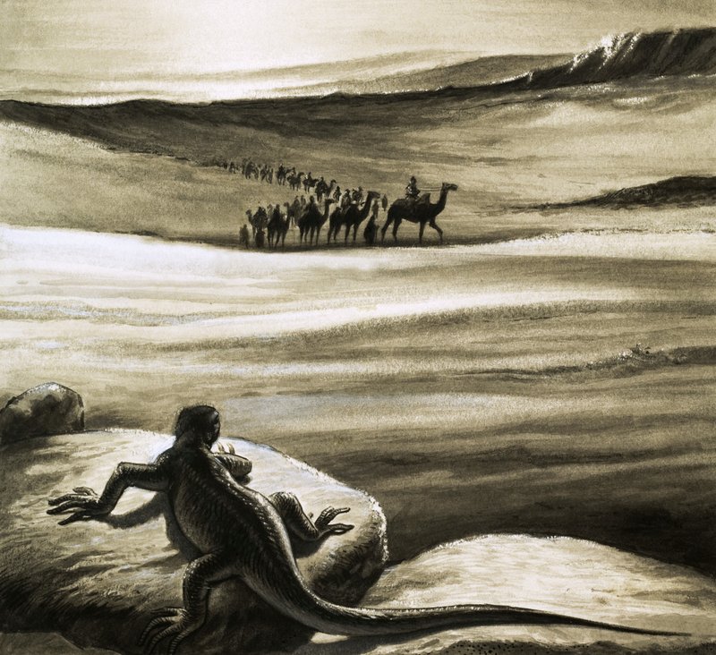 سحلية تراقب قطار الإبل الذي يعبر الصحراء بواسطة مدرسة اللغة الإنجليزية