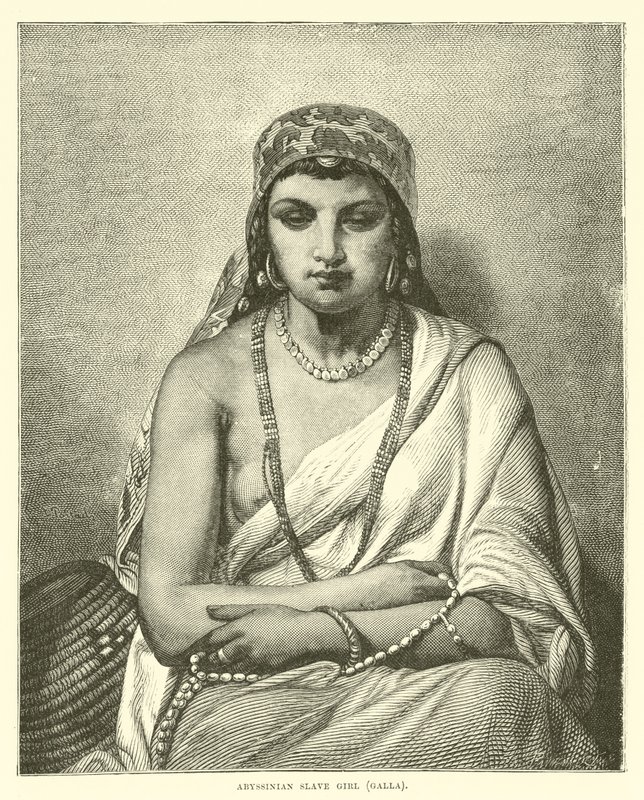 العبد الحبشي ، غالا بواسطة مدرسة اللغة الإنجليزية