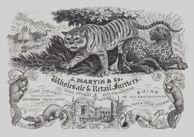 Advertisement for J Martin & Co, wholesale and retail furriers, Southampton, Hampshire (litho) بواسطة مدرسة اللغة الإنجليزية