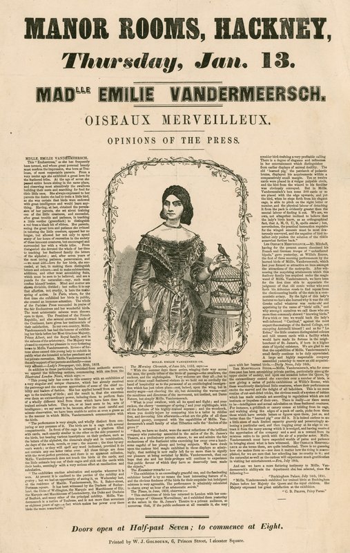 إعلان عن ظهور Mademoiselle Emilie Vandermeersch ، Oiseaux Merveilleaux في The Manor Rooms ، Hackney ، لندن بواسطة مدرسة اللغة الإنجليزية