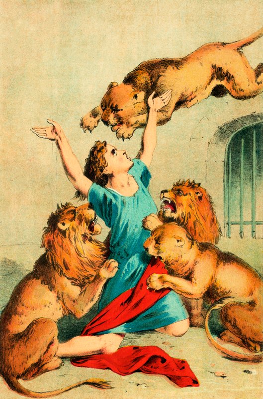 يلقي Agaputus إلى الحيوانات البرية بواسطة مدرسة اللغة الإنجليزية