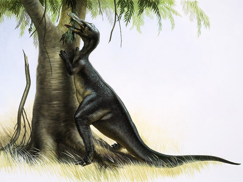 Anatosaurus بواسطة مدرسة اللغة الإنجليزية