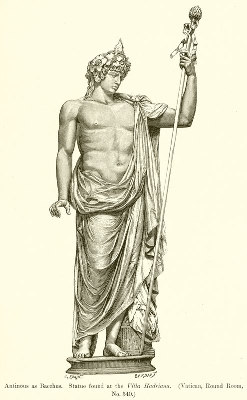 Antinous مثل باكوس. العثور على تمثال في فيلا هادريانا. (الفاتيكان ، غرفة مستديرة ، رقم 540) بواسطة مدرسة اللغة الإنجليزية