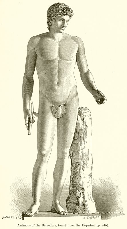 Antinous من بلفيدير ، وجدت على Esquiline بواسطة مدرسة اللغة الإنجليزية