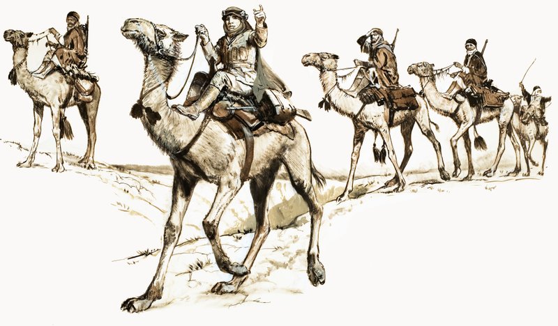 العرب يعبرون الصحراء على الإبل بواسطة مدرسة اللغة الإنجليزية