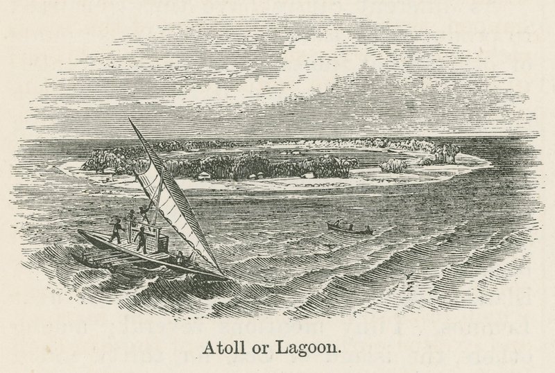 Atoll or lagoon (engraving) بواسطة مدرسة اللغة الإنجليزية