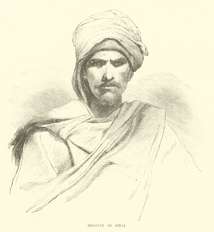 بدو سيناء بواسطة مدرسة اللغة الإنجليزية