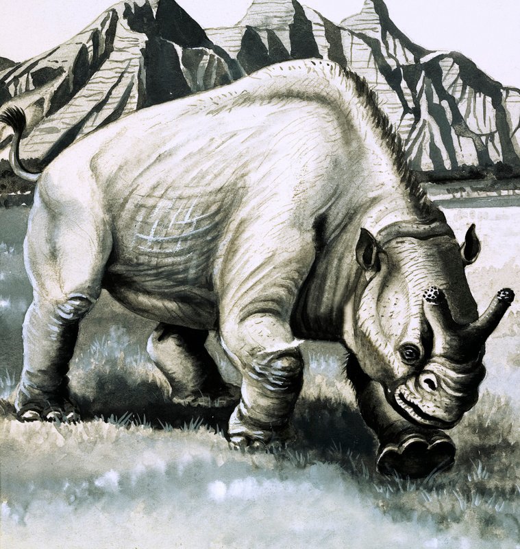 Brontotherium من عصر Oligocene بواسطة مدرسة اللغة الإنجليزية