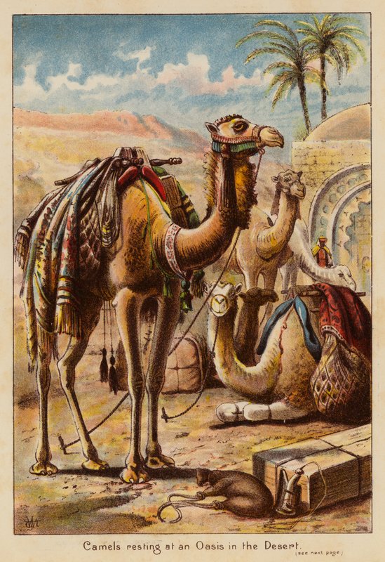  بواسطة مدرسة اللغة الإنجليزية