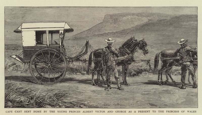 أرسلت Cape Cart إلى الوطن من قبل الأمراء الشابين ألبرت فيكتور وجورج كهدية لأميرة ويلز (نقش) بواسطة مدرسة اللغة الإنجليزية