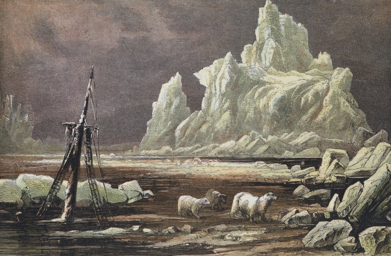 Cape Omman, Northern Siberia (coloured engraving) بواسطة مدرسة اللغة الإنجليزية