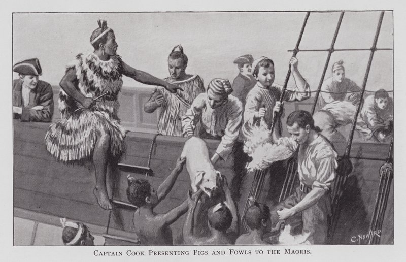 Captain Cook Presenting Pigs and Fowls to the Maoris (litho) بواسطة مدرسة اللغة الإنجليزية