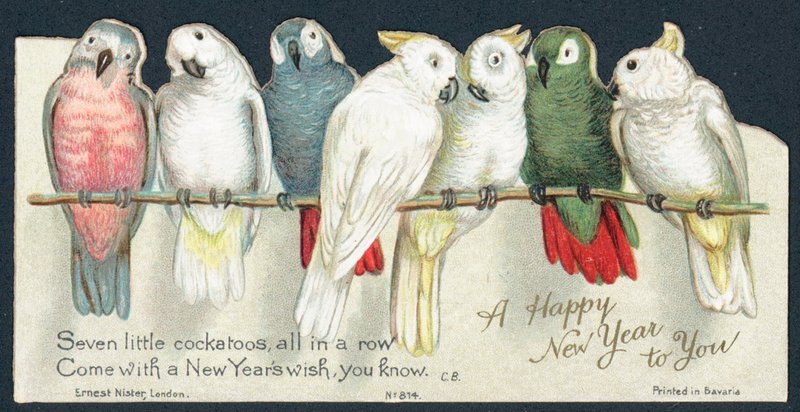 Cockatoos ، بطاقة السنة الجديدة بواسطة مدرسة اللغة الإنجليزية