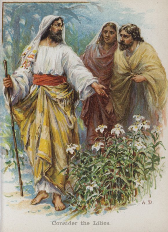 Consider the Lilies (chromolitho) بواسطة مدرسة اللغة الإنجليزية