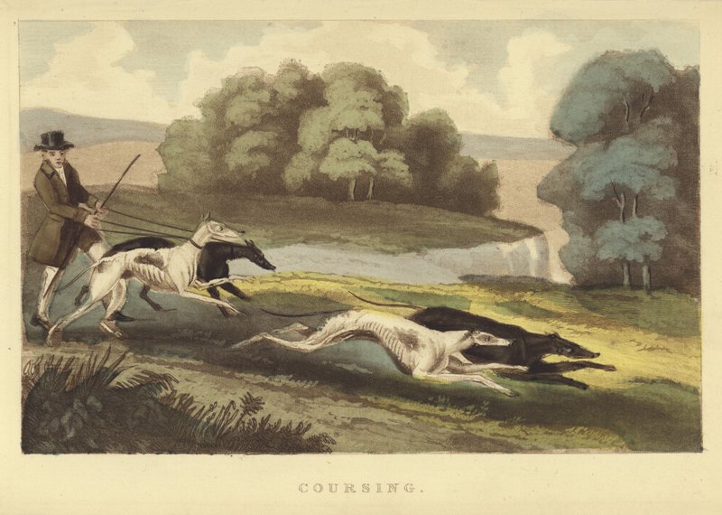 Coursing (coloured engraving) بواسطة مدرسة اللغة الإنجليزية