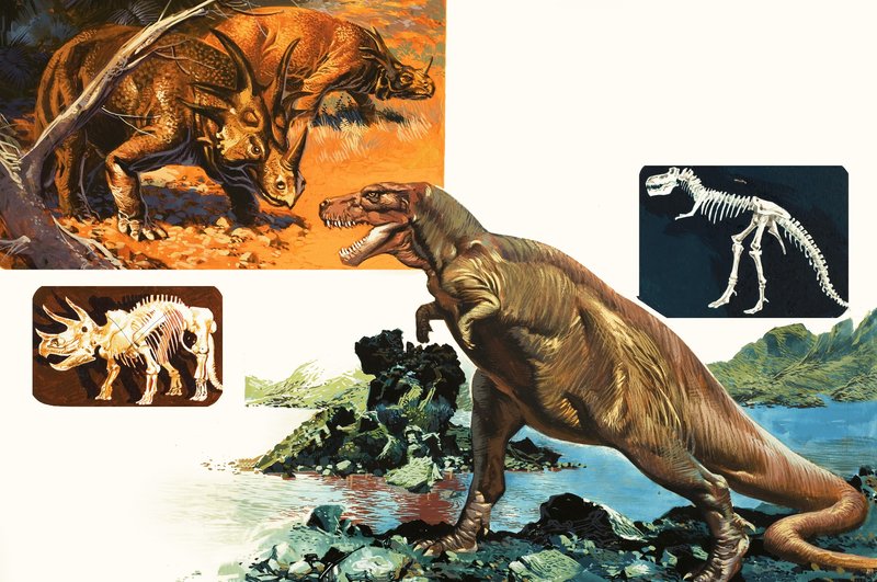 الديناصورات والهيكل العظمي. Stegasaurus و Tyranosaurus بواسطة مدرسة اللغة الإنجليزية