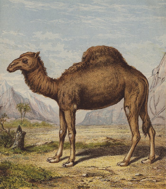  بواسطة مدرسة اللغة الإنجليزية