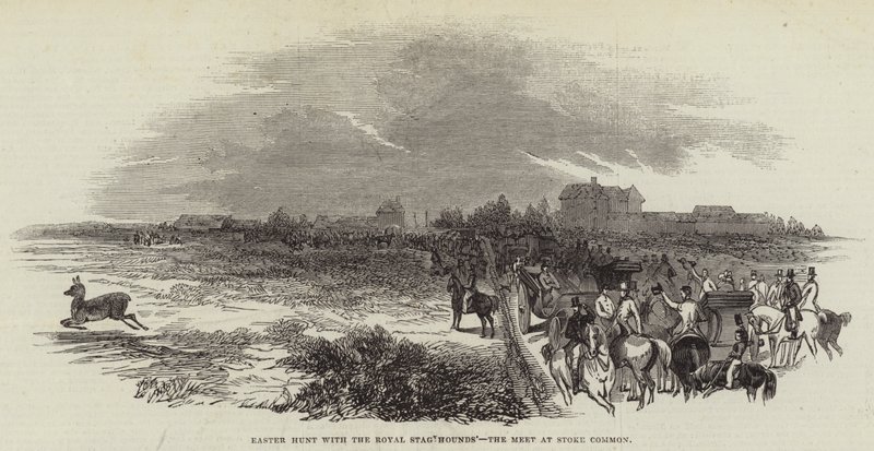 Easter Hunt with the Royal Stag Hounds, the Meet at Stoke Common (engraving) بواسطة مدرسة اللغة الإنجليزية