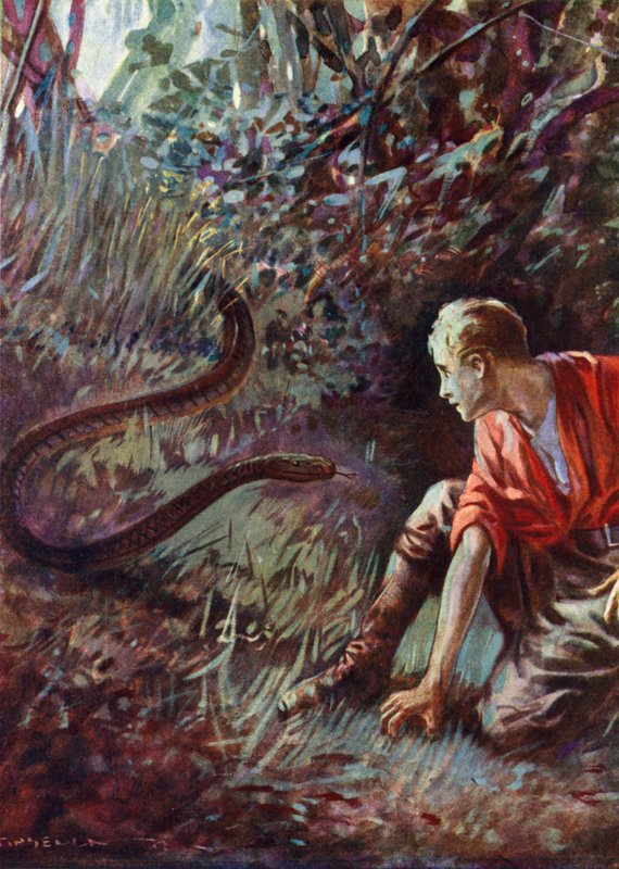 Encounter with a snake in the jungle (colour litho) بواسطة مدرسة اللغة الإنجليزية