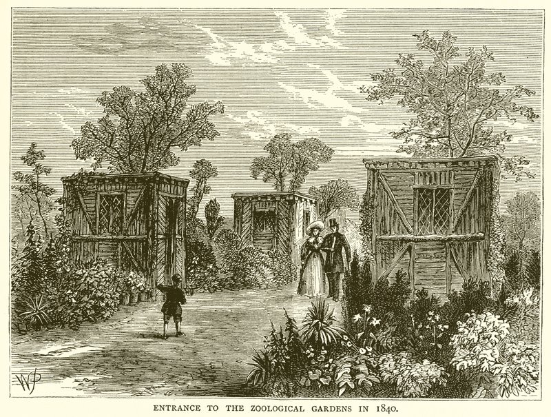مدخل حدائق الحيوان عام 1840 بواسطة مدرسة اللغة الإنجليزية