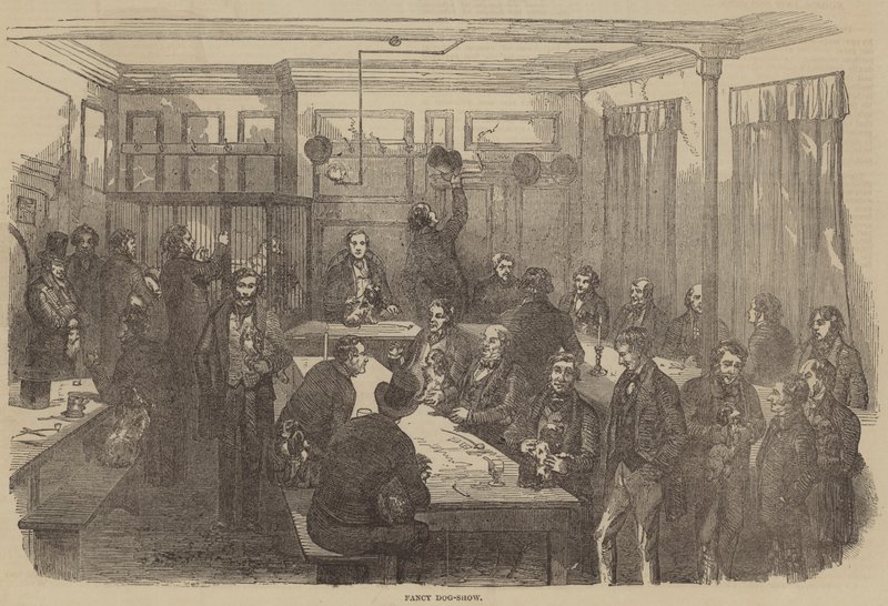 Fancy Dog-Show (engraving) بواسطة مدرسة اللغة الإنجليزية