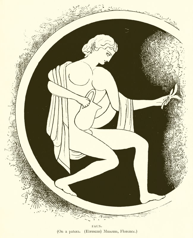 Faun بواسطة مدرسة اللغة الإنجليزية