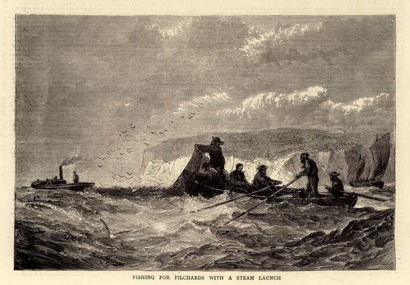 Fishing for Pilchards with a Steam Launch (engraving) بواسطة مدرسة اللغة الإنجليزية