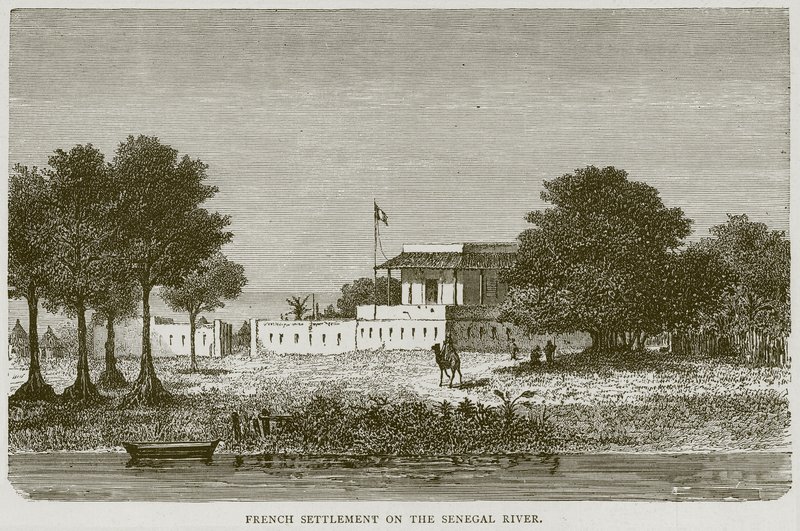 مستوطنة فرنسية على نهر السنغال ، توضيح من رحلات مصورة ، c.1880 بواسطة مدرسة اللغة الإنجليزية