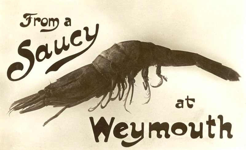 From a saucy prawn at Weymouth, greetings card (litho) بواسطة مدرسة اللغة الإنجليزية