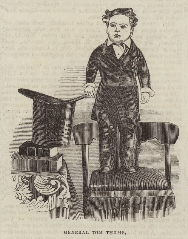 General Tom Thumb (engraving) بواسطة مدرسة اللغة الإنجليزية