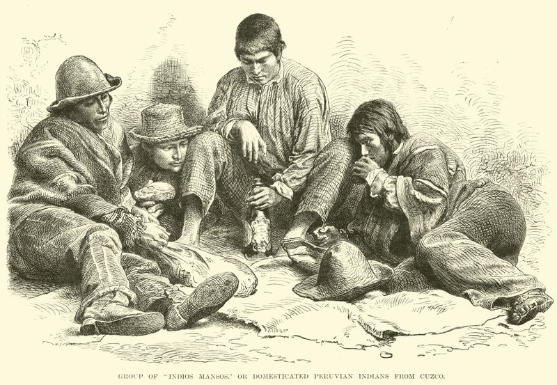 مجموعة من Indios Mansos ، أو هنود بيرو المستأنسين من كوزكو بواسطة مدرسة اللغة الإنجليزية