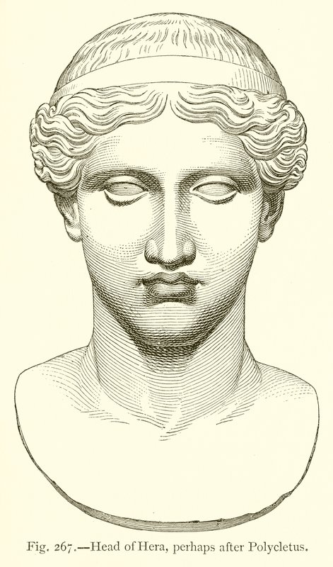 رأس هيرا ، ربما بعد Polycletus بواسطة مدرسة اللغة الإنجليزية