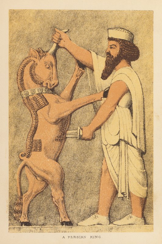  بواسطة مدرسة اللغة الإنجليزية