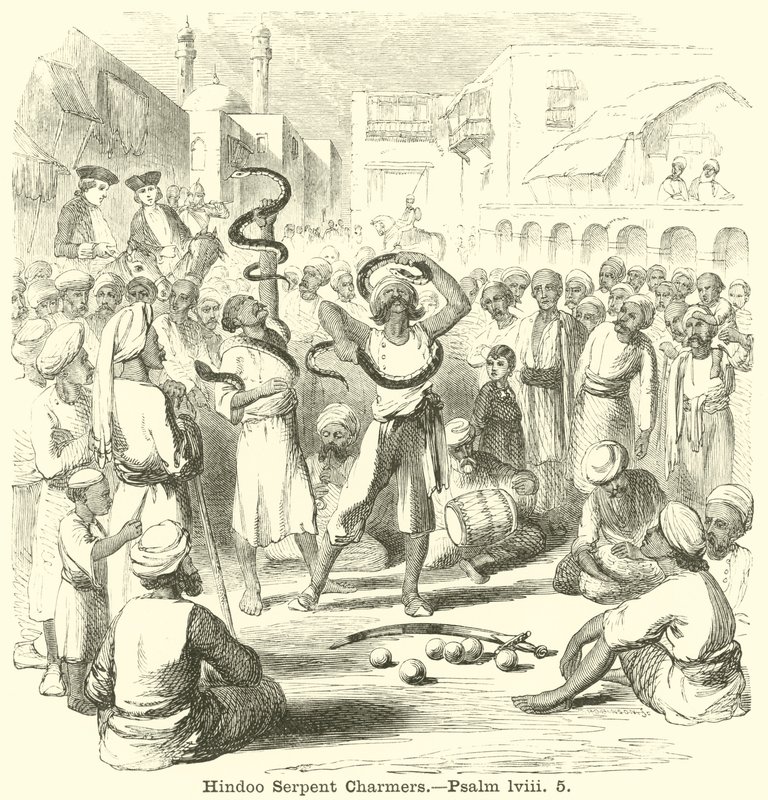Hindoo Serpent Charmers ، مزمور ، لفي ، 5 بواسطة مدرسة اللغة الإنجليزية