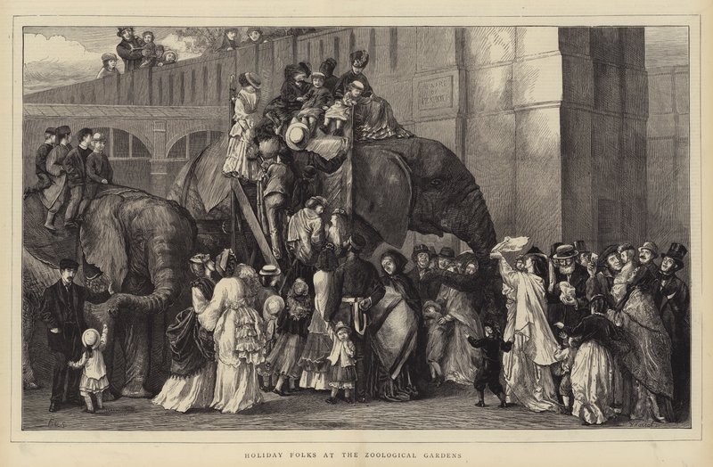 Holiday Folks at the Zoological Gardens (engraving) بواسطة مدرسة اللغة الإنجليزية