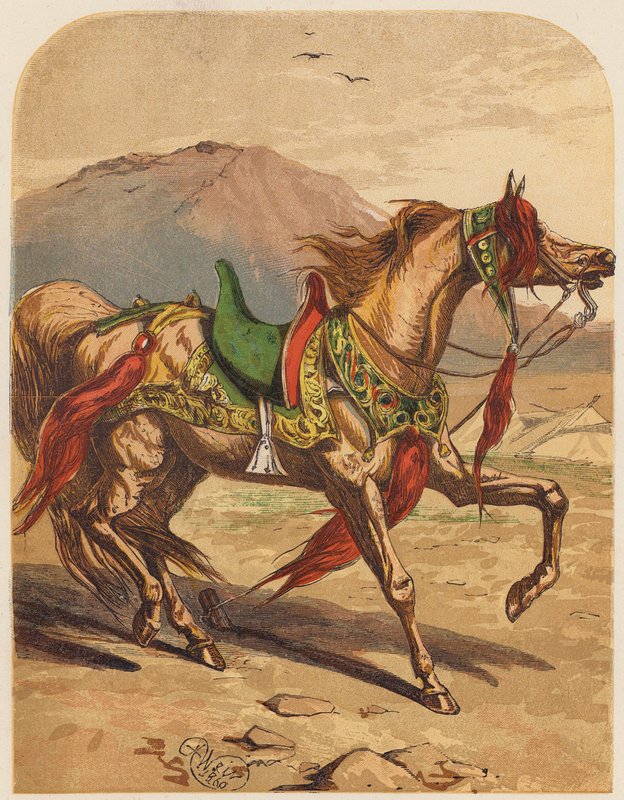  بواسطة مدرسة اللغة الإنجليزية