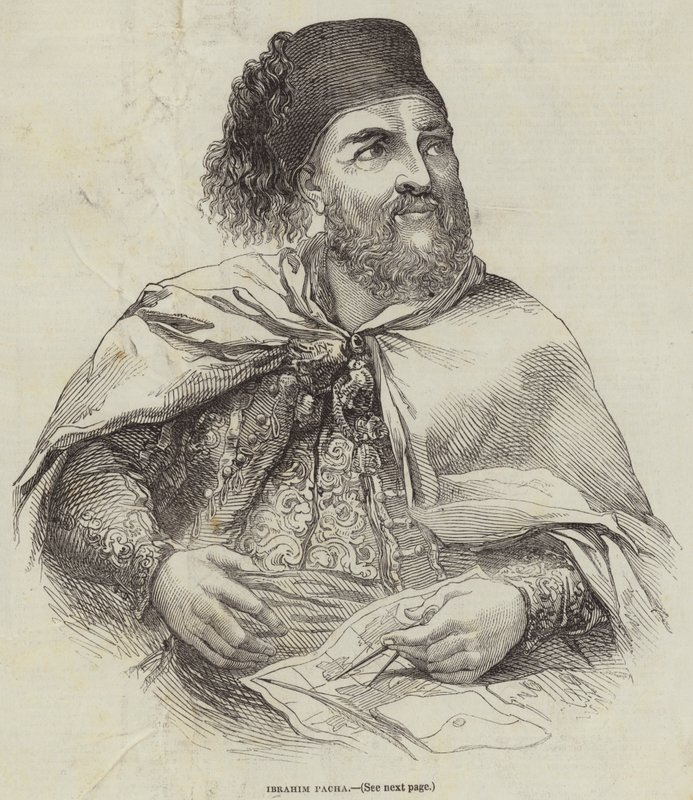 Ibrahim Pacha (engraving) بواسطة مدرسة اللغة الإنجليزية