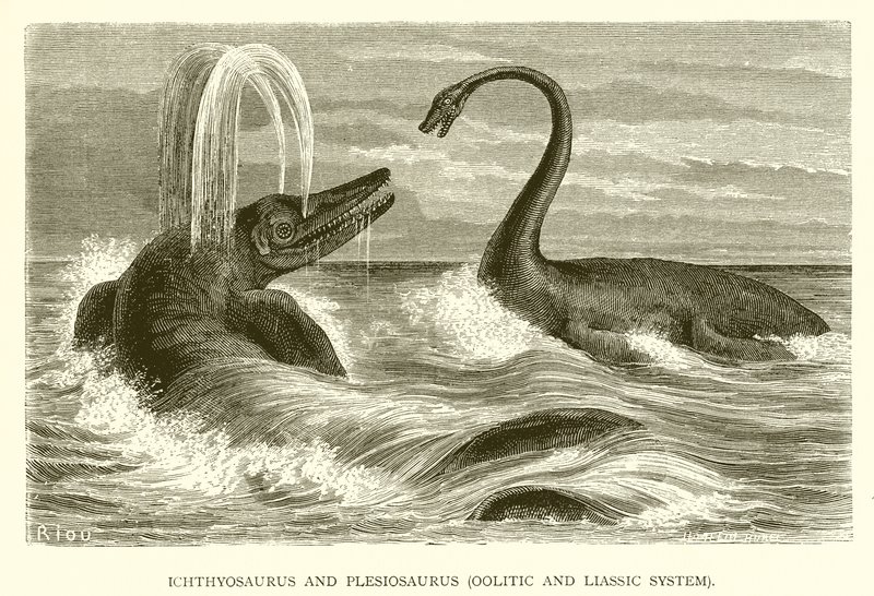 Ichthyosaurus و Plesiosaurus ، نظام Oolitic و Liassic بواسطة مدرسة اللغة الإنجليزية
