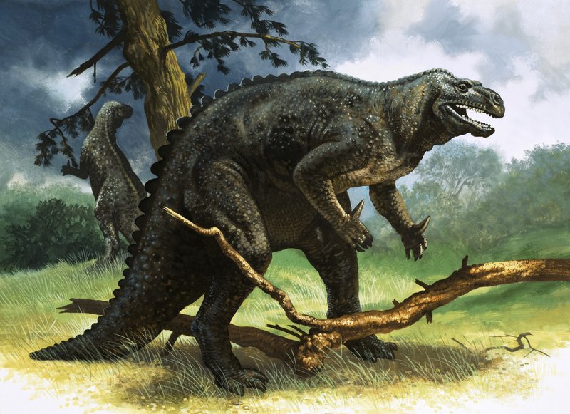 Iguanodon بواسطة مدرسة اللغة الإنجليزية