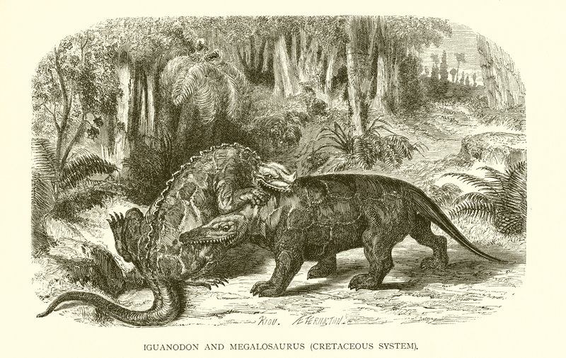 Iguanodon و Megalosaurus ، النظام الطباشيري بواسطة مدرسة اللغة الإنجليزية