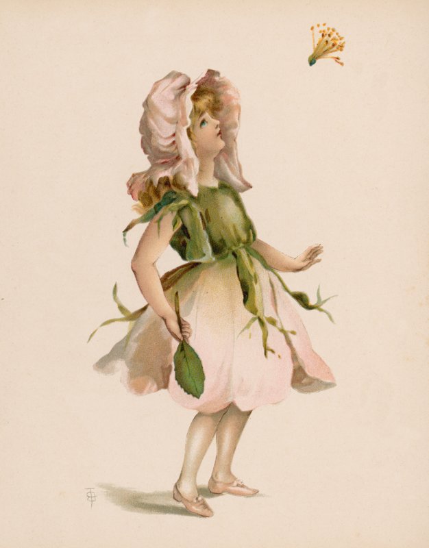 رسم توضيحي للغة الزهور (chromolitho) بواسطة مدرسة اللغة الإنجليزية