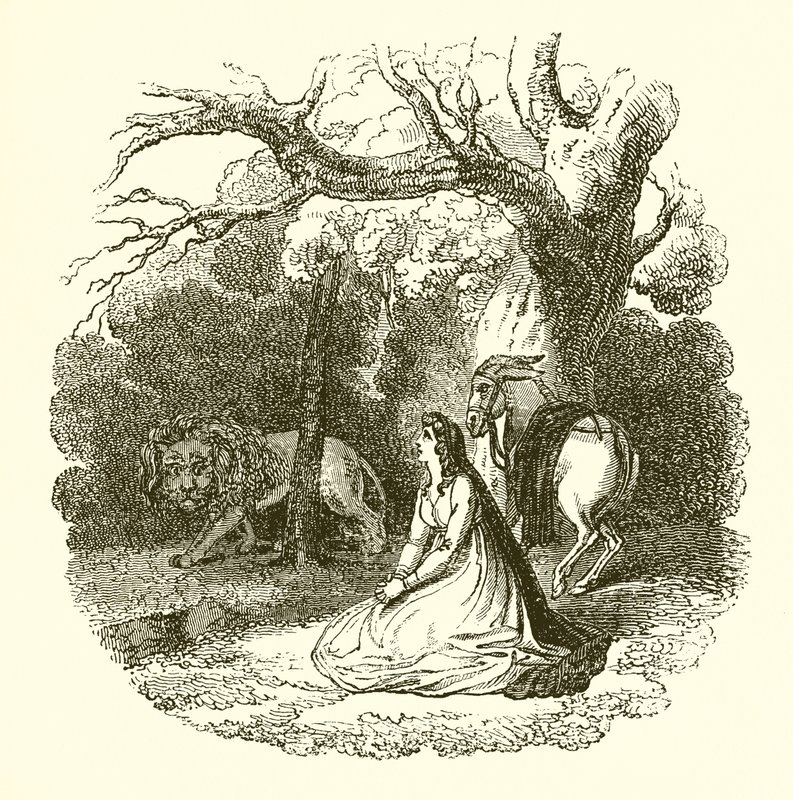 رسم توضيحي لـ Faery Queene بواسطة مدرسة اللغة الإنجليزية