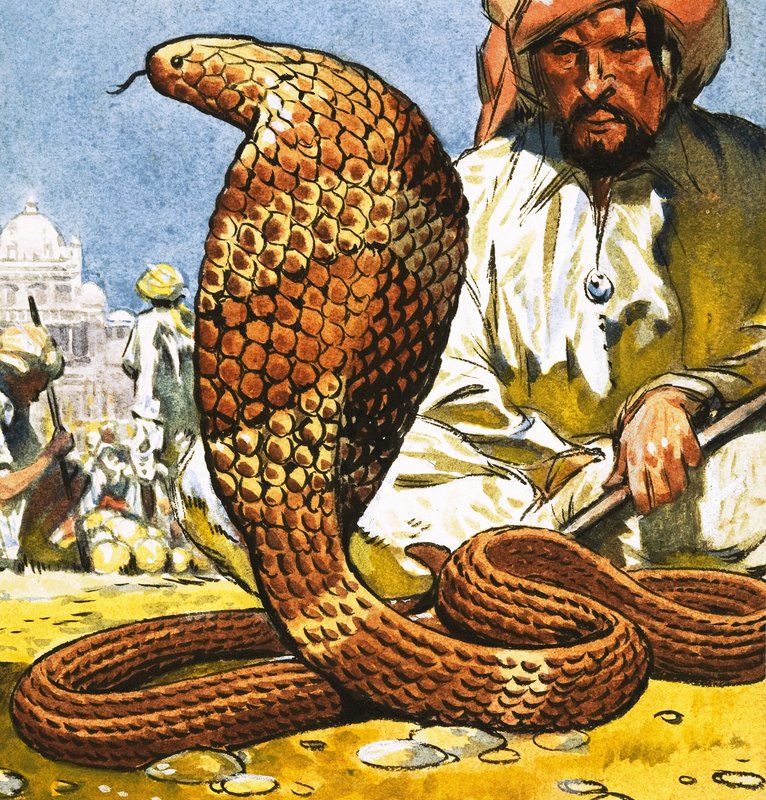 ملك الكوبرا بواسطة مدرسة اللغة الإنجليزية