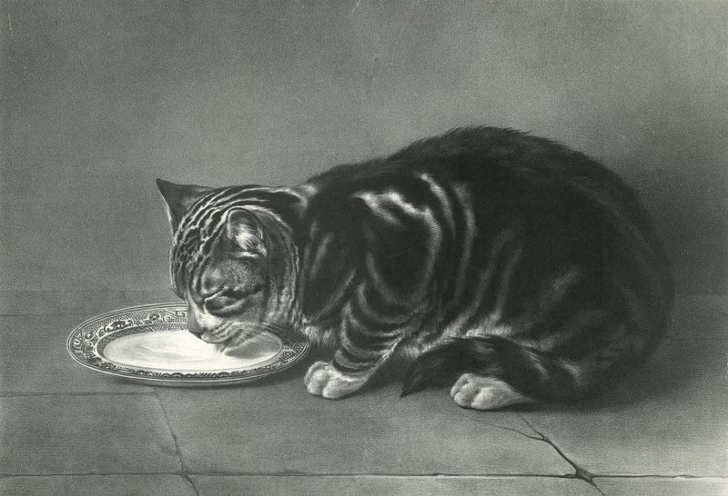 Le Gourmand ، The Glutton بواسطة مدرسة اللغة الإنجليزية