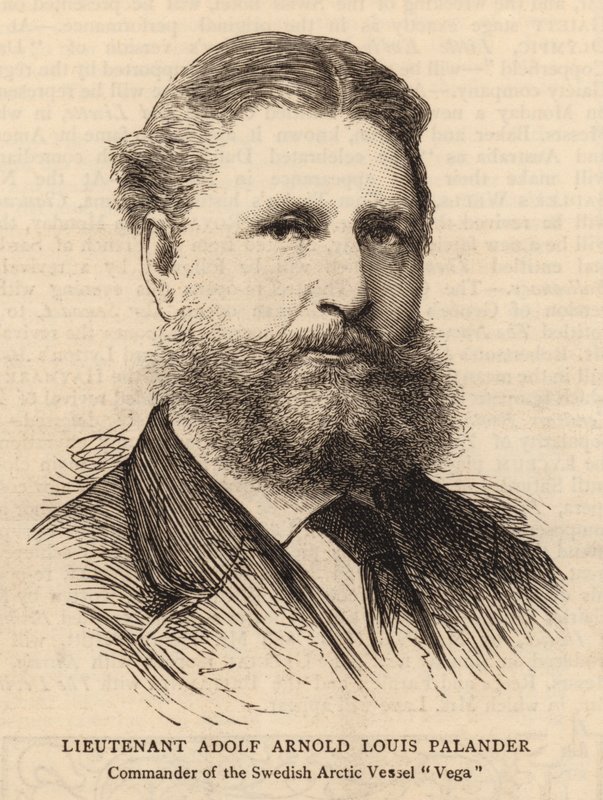 Lieutenant Adolf Arnold Louis Palander (engraving) بواسطة مدرسة اللغة الإنجليزية