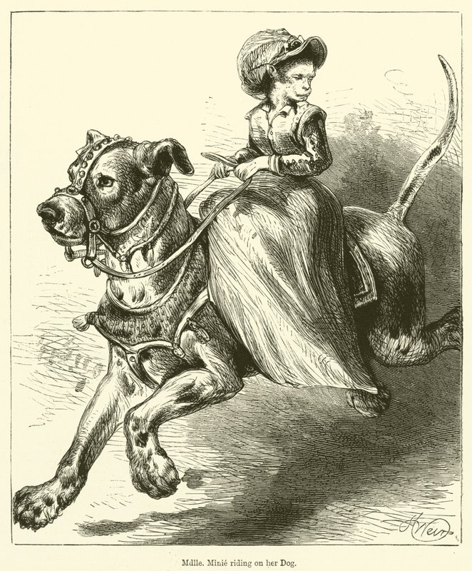 Mademoiselle Minie تركب على كلبها (نقش) بواسطة مدرسة اللغة الإنجليزية