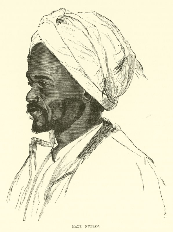 ذكر النوبي بواسطة مدرسة اللغة الإنجليزية